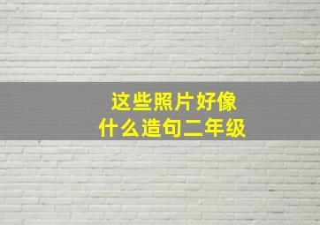 这些照片好像什么造句二年级