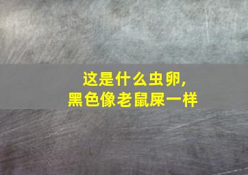 这是什么虫卵,黑色像老鼠屎一样