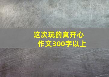 这次玩的真开心作文300字以上