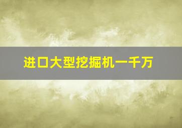 进口大型挖掘机一千万