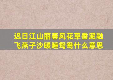 迟日江山丽春风花草香泥融飞燕子沙暖睡鸳鸯什么意思