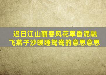 迟日江山丽春风花草香泥融飞燕子沙暖睡鸳鸯的意思意思