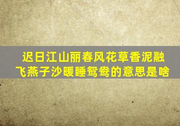 迟日江山丽春风花草香泥融飞燕子沙暖睡鸳鸯的意思是啥