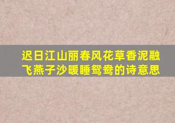 迟日江山丽春风花草香泥融飞燕子沙暖睡鸳鸯的诗意思