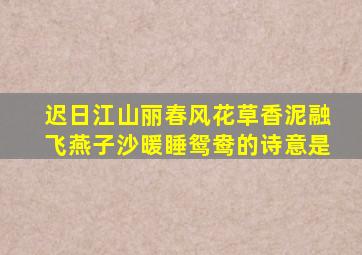 迟日江山丽春风花草香泥融飞燕子沙暖睡鸳鸯的诗意是