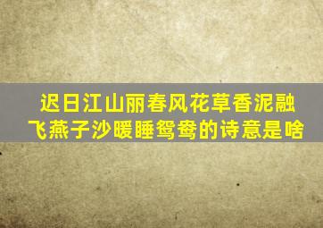 迟日江山丽春风花草香泥融飞燕子沙暖睡鸳鸯的诗意是啥