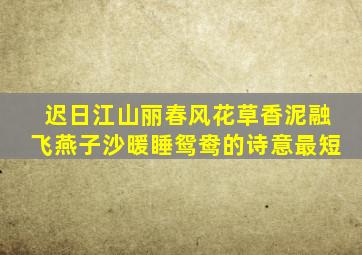 迟日江山丽春风花草香泥融飞燕子沙暖睡鸳鸯的诗意最短