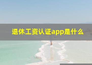 退休工资认证app是什么