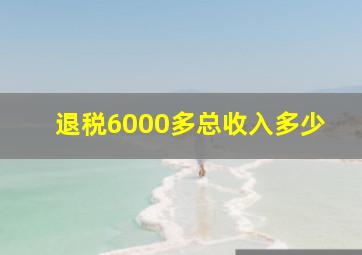 退税6000多总收入多少