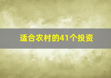 适合农村的41个投资