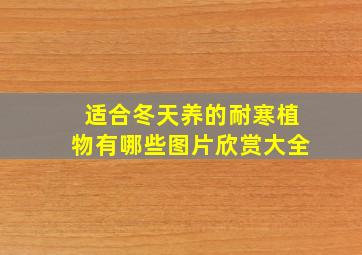 适合冬天养的耐寒植物有哪些图片欣赏大全