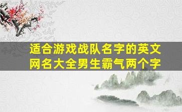 适合游戏战队名字的英文网名大全男生霸气两个字