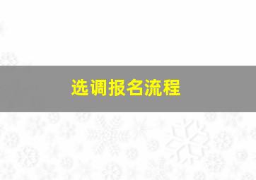 选调报名流程