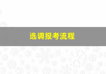 选调报考流程