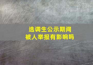 选调生公示期间被人举报有影响吗