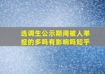 选调生公示期间被人举报的多吗有影响吗知乎