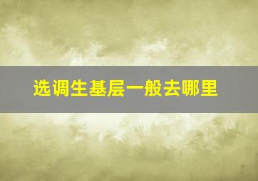 选调生基层一般去哪里