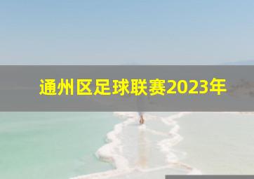 通州区足球联赛2023年