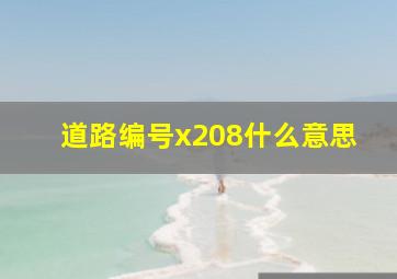 道路编号x208什么意思