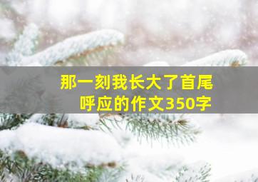 那一刻我长大了首尾呼应的作文350字