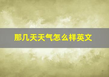 那几天天气怎么样英文