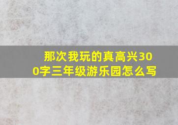 那次我玩的真高兴300字三年级游乐园怎么写