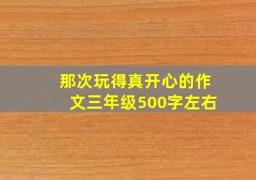 那次玩得真开心的作文三年级500字左右