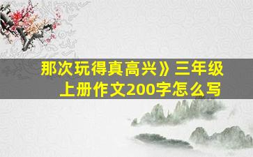 那次玩得真高兴》三年级上册作文200字怎么写