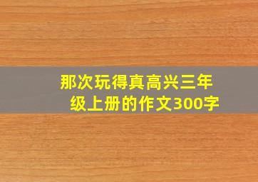 那次玩得真高兴三年级上册的作文300字