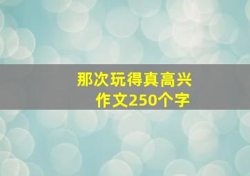 那次玩得真高兴作文250个字