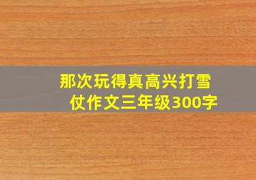 那次玩得真高兴打雪仗作文三年级300字