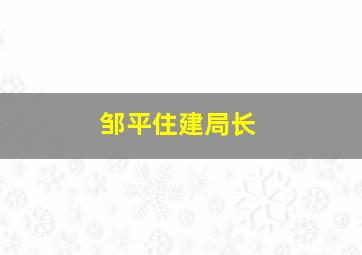 邹平住建局长