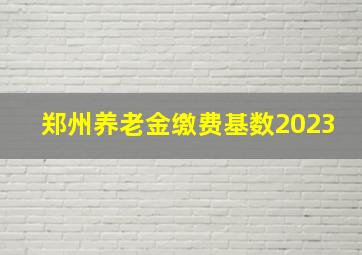 郑州养老金缴费基数2023