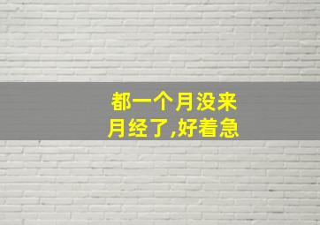 都一个月没来月经了,好着急