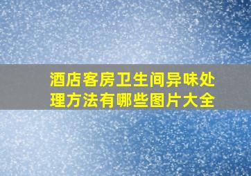 酒店客房卫生间异味处理方法有哪些图片大全