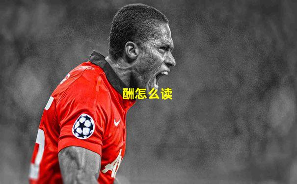 酬怎么读