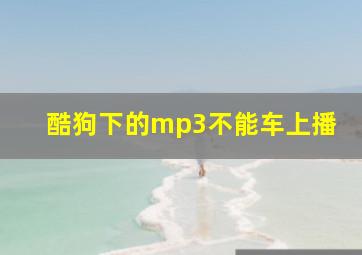 酷狗下的mp3不能车上播