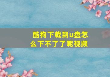 酷狗下载到u盘怎么下不了了呢视频