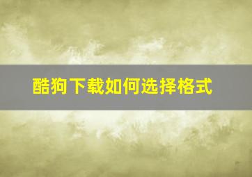 酷狗下载如何选择格式