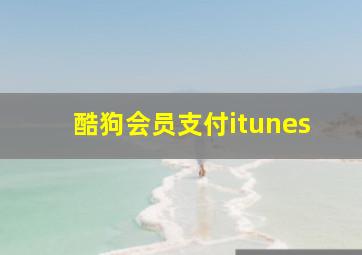 酷狗会员支付itunes