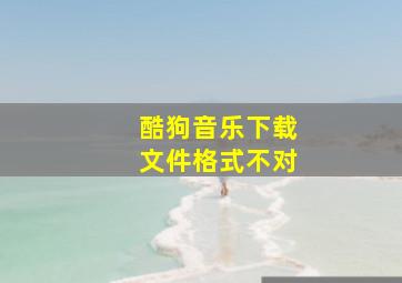 酷狗音乐下载文件格式不对