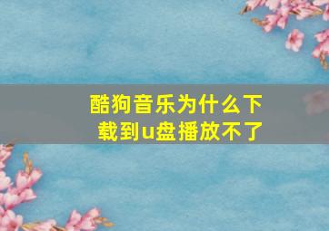 酷狗音乐为什么下载到u盘播放不了