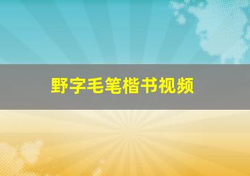 野字毛笔楷书视频