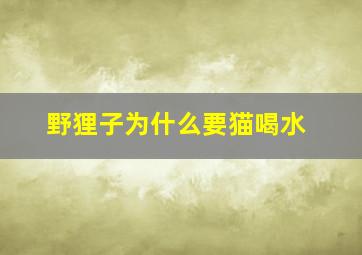 野狸子为什么要猫喝水