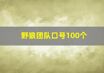 野狼团队口号100个