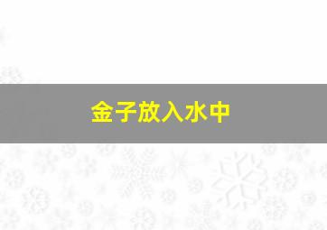 金子放入水中