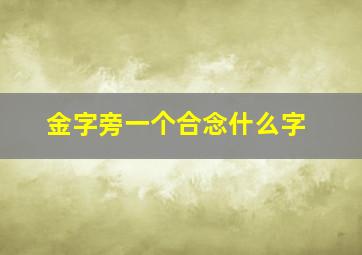 金字旁一个合念什么字