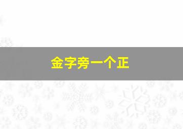 金字旁一个正