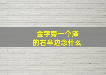 金字旁一个泽的右半边念什么