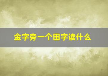 金字旁一个田字读什么